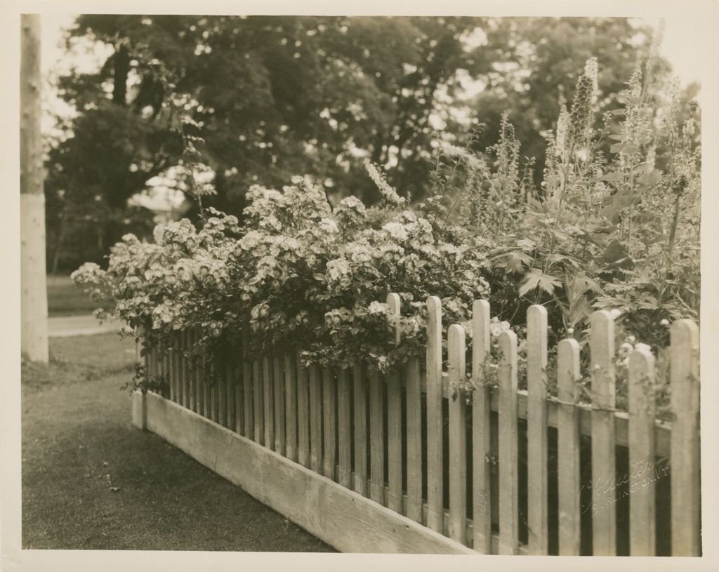 Miniature of Flowers