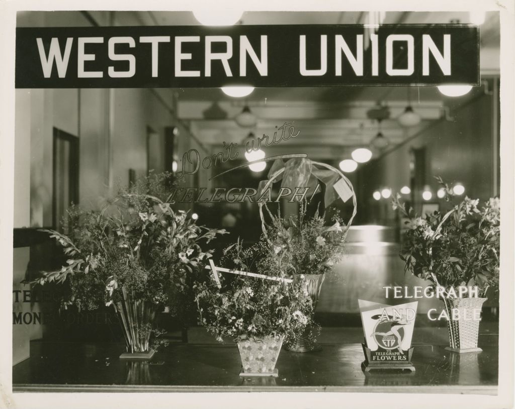 Miniature of Store Windows