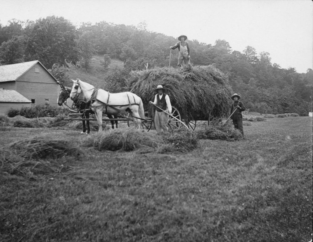 Miniature of Loading hay