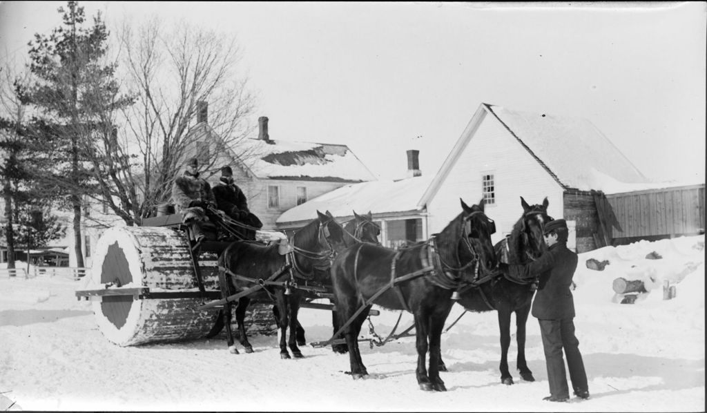 Miniature of Horses pulling a snow roller