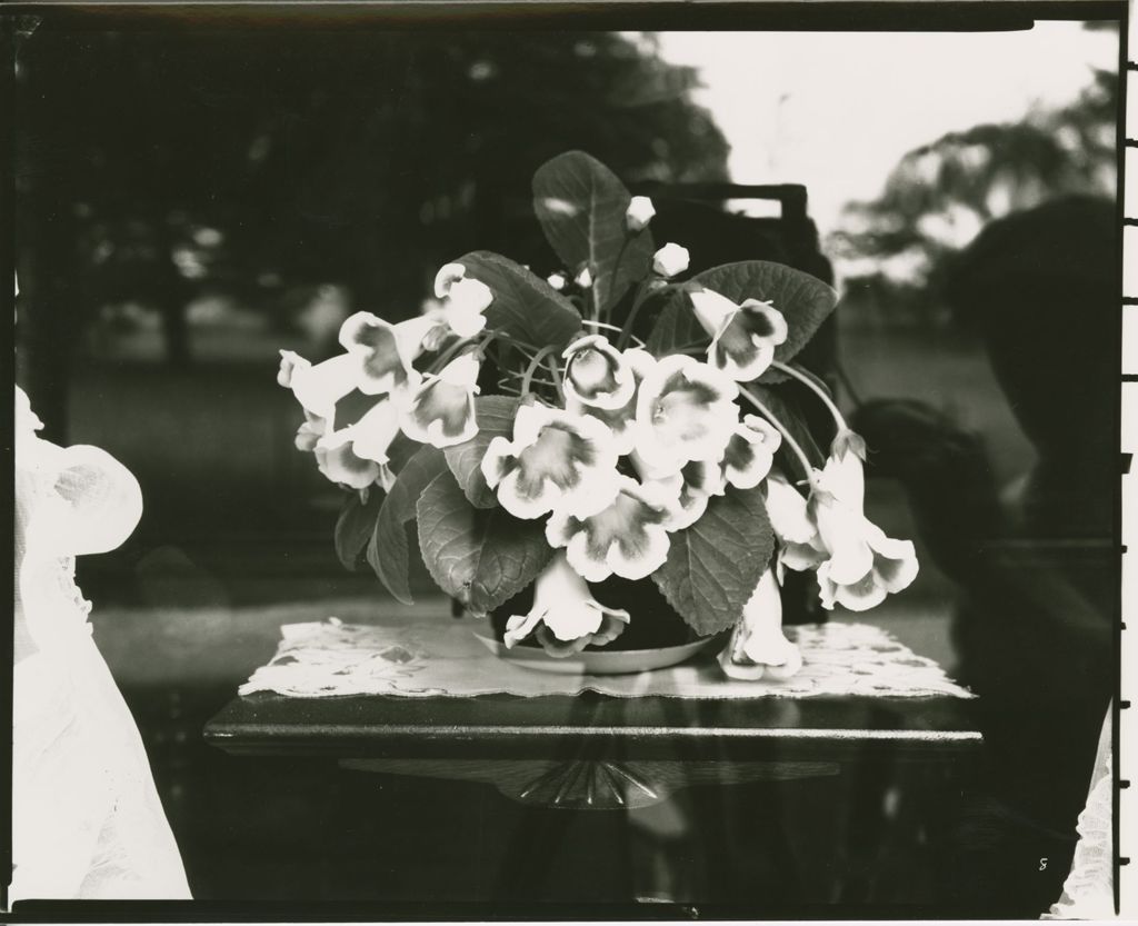 Miniature of Flowers, Pots