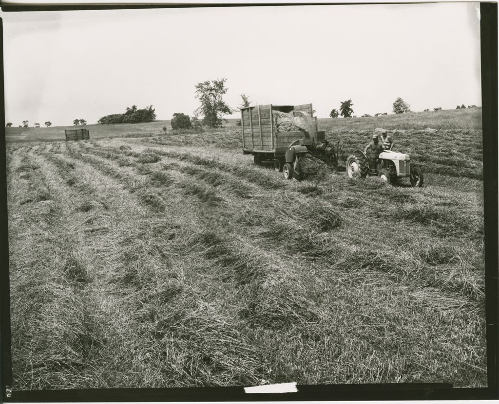 Miniature of Farms - Haying