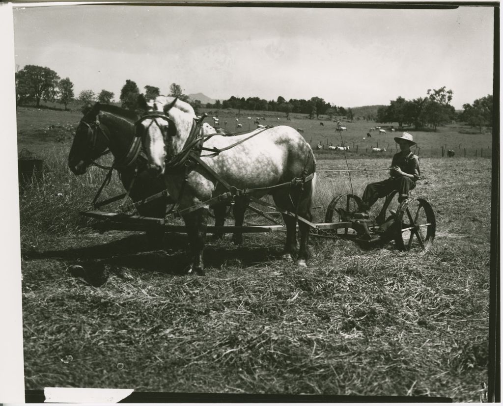 Miniature of Farms - Haying