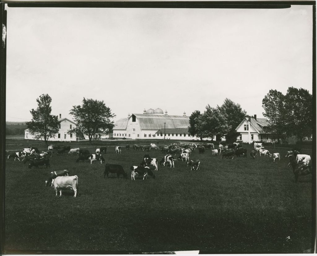 Miniature of Farms - Livestock