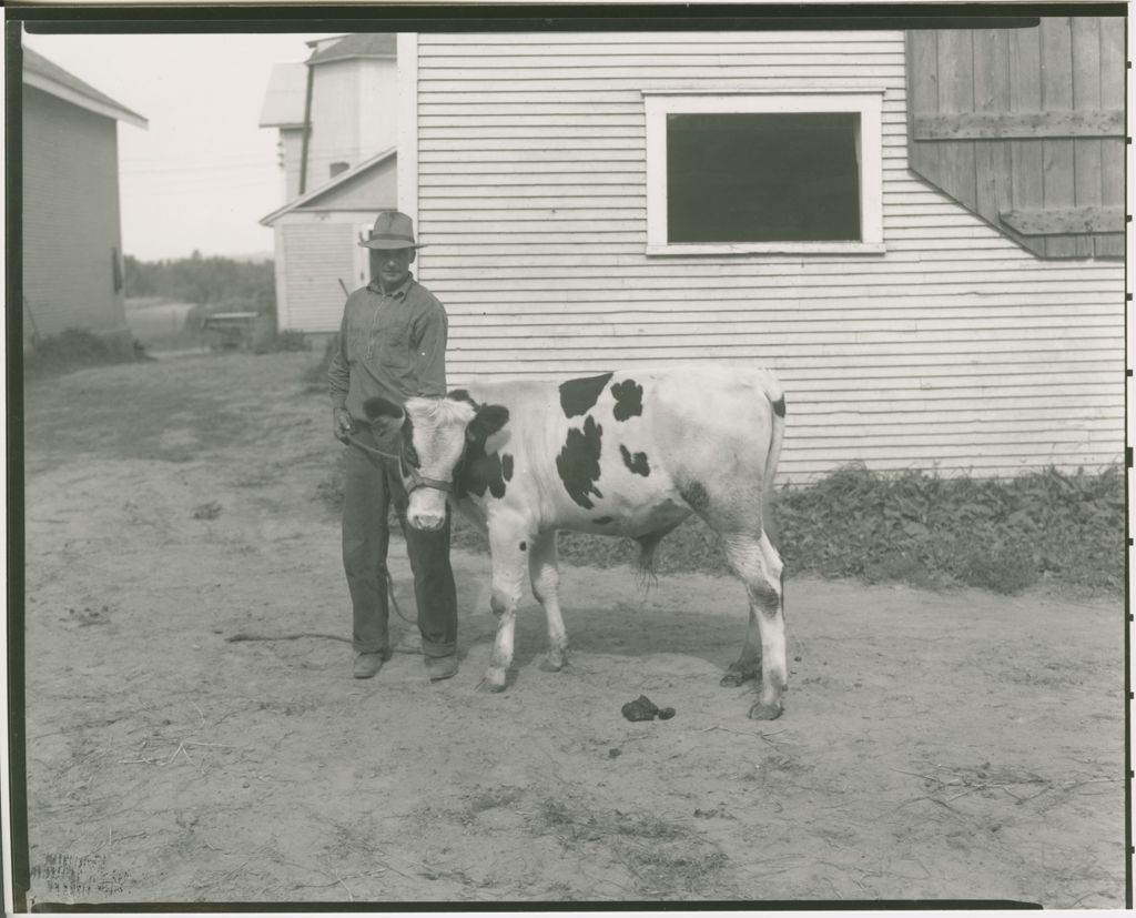 Miniature of Farms - Livestock