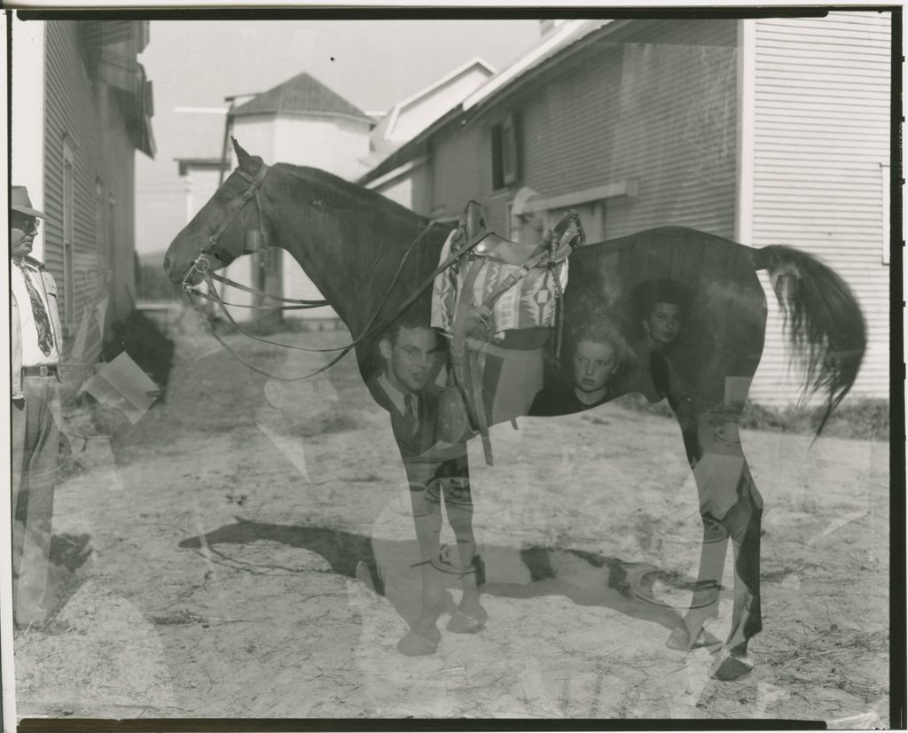 Miniature of Farms - Livestock