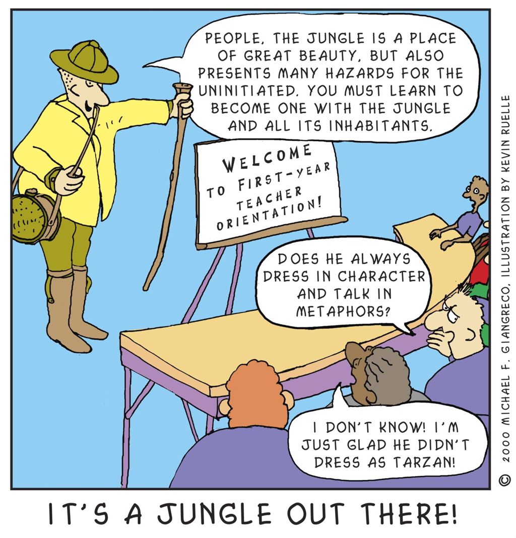 Miniature of It's a Jungle Out There!