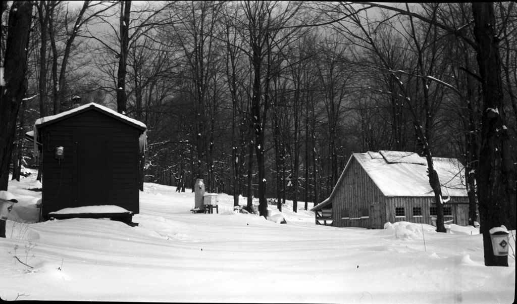 Miniature of View of the Proctor Maple Research Center's research shed and sugar house