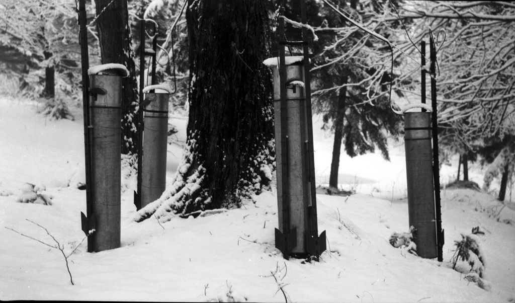 Miniature of Tipping buckets in sugar bush