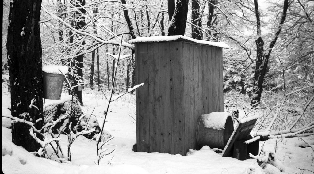 Miniature of "Decap box" in sugar bush