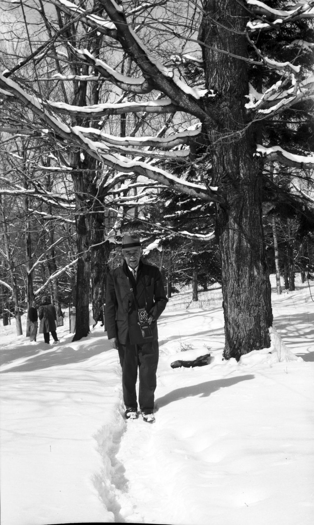 Miniature of Ed Fielling surveying the sugar bush