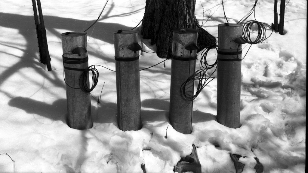 Miniature of Four collection buckets