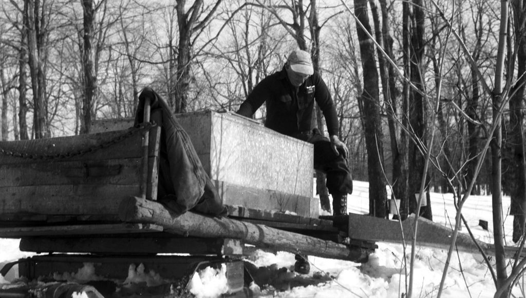 Miniature of Worker collecting sap to transport to sugar house