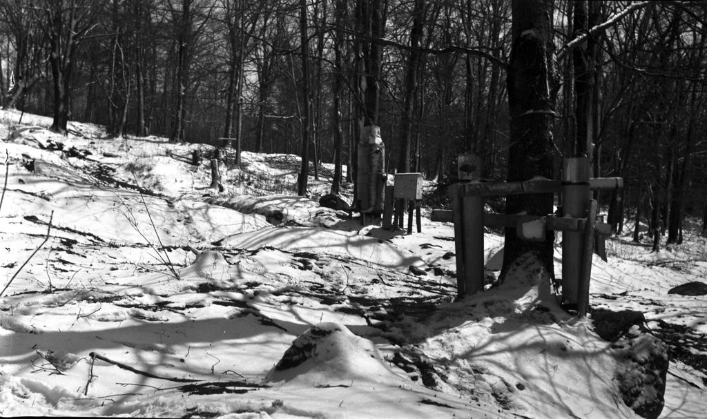 Miniature of Collection tanks set up in the sugar bush