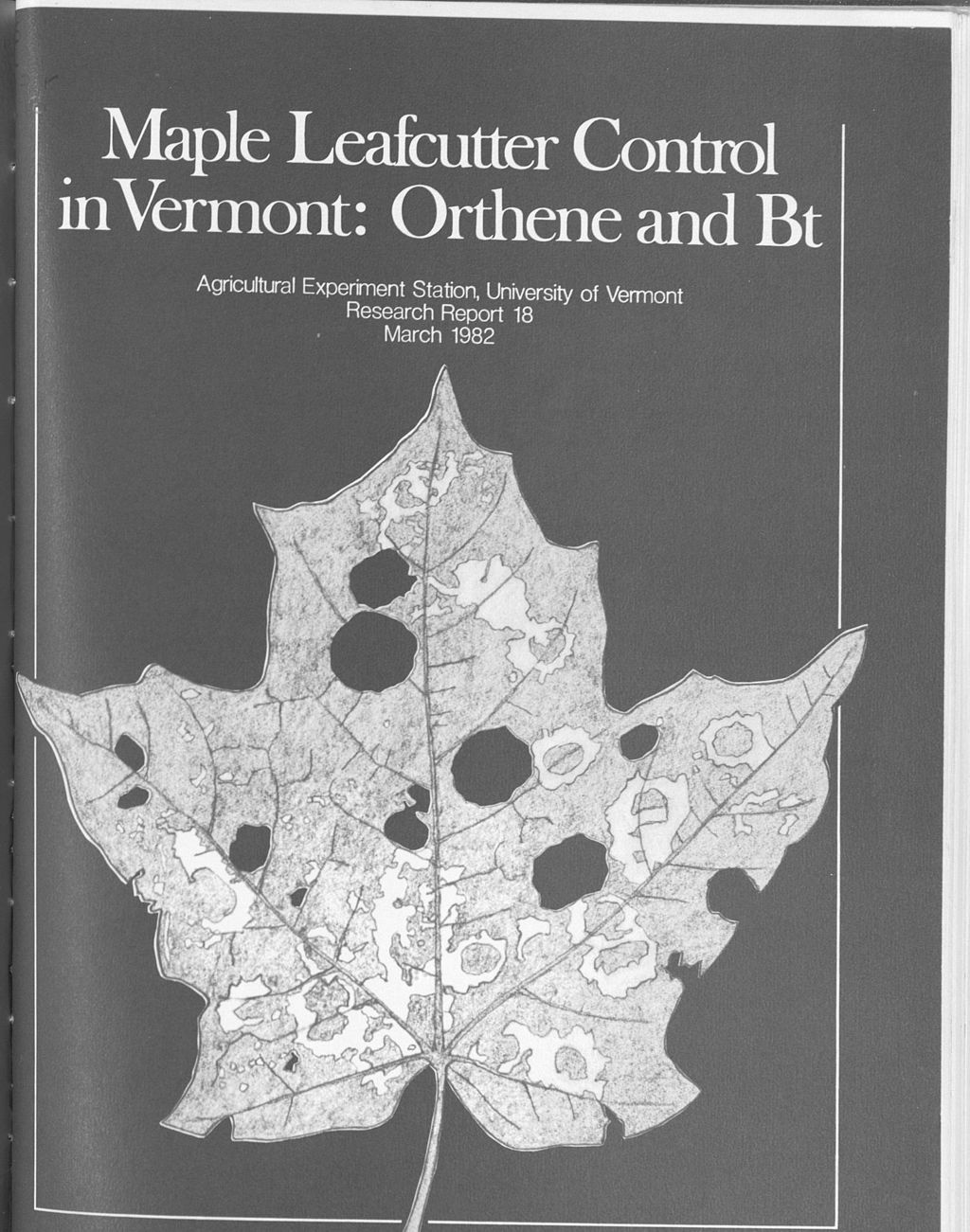 Miniature of Maple leafcutter control in Vermont : Orthene and Bt