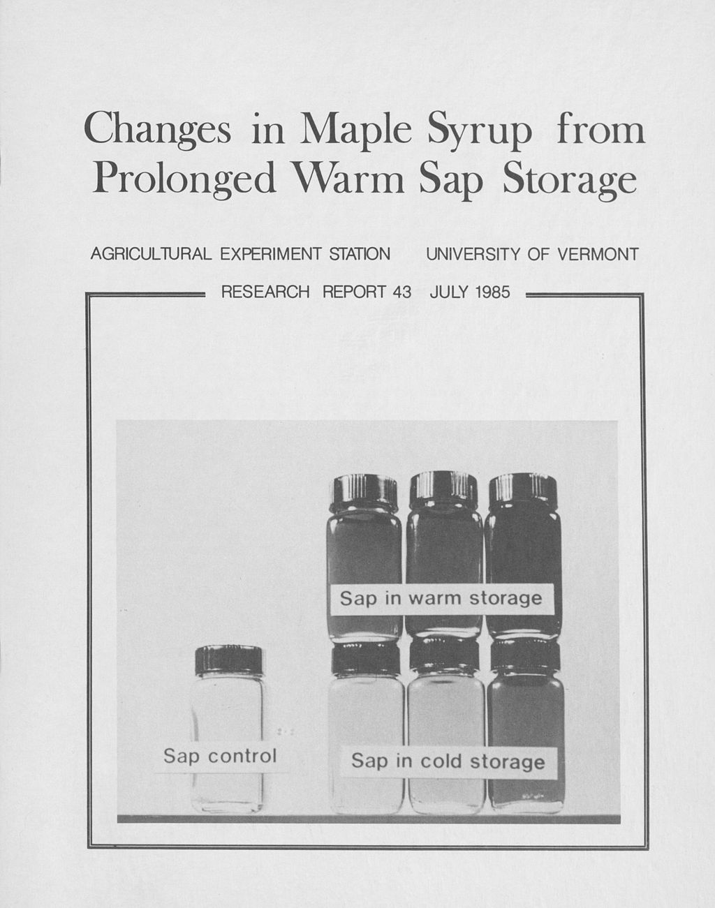 Miniature of Changes in maple syrup from prolonged warm sap storage