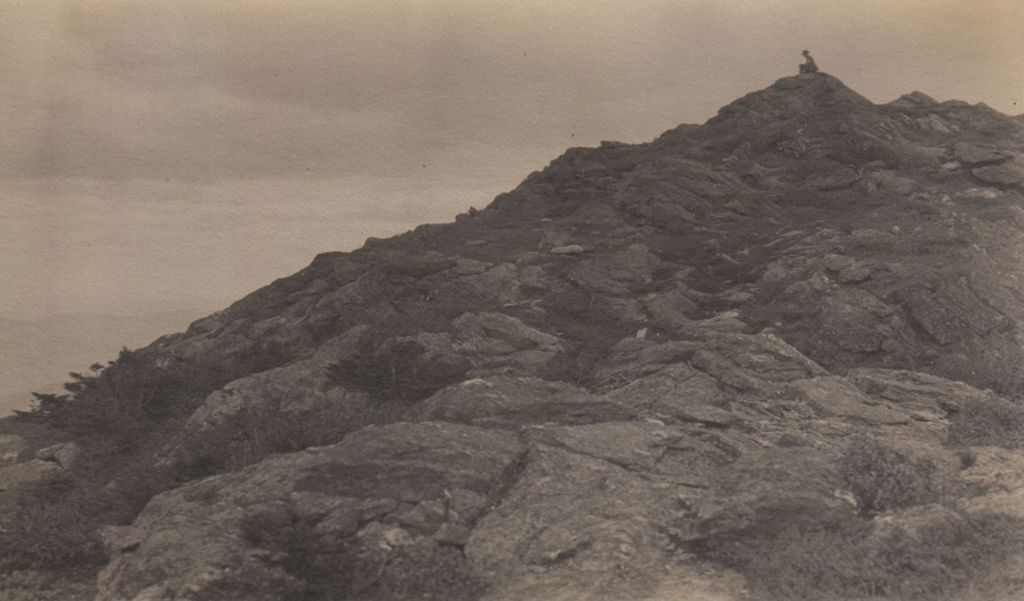 Miniature of Man at summit