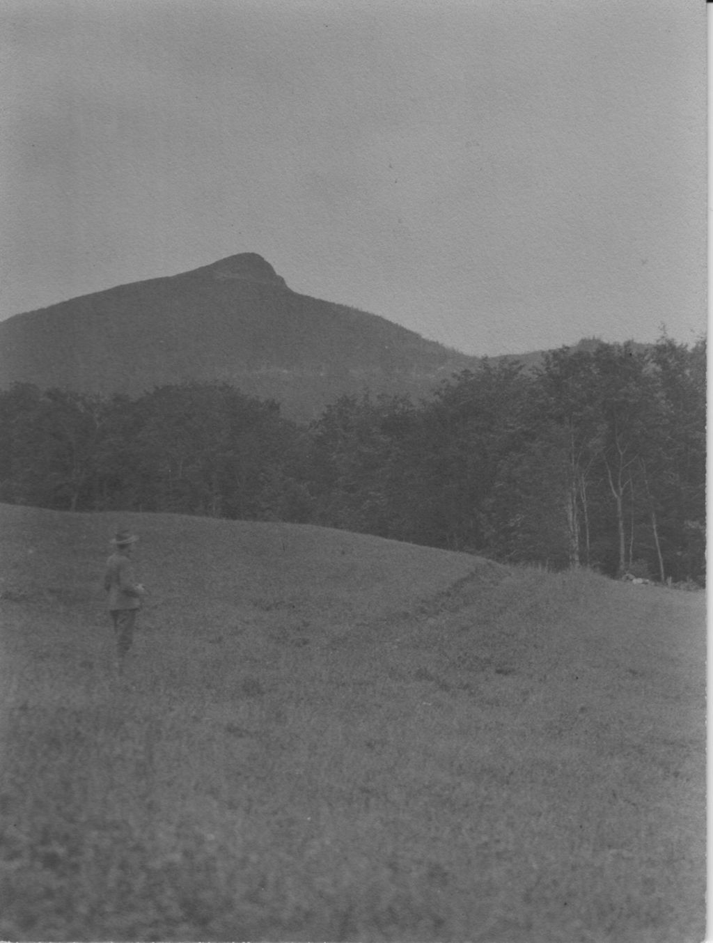 Miniature of Couching Lion (Camel's Hump) from Liberty Farm