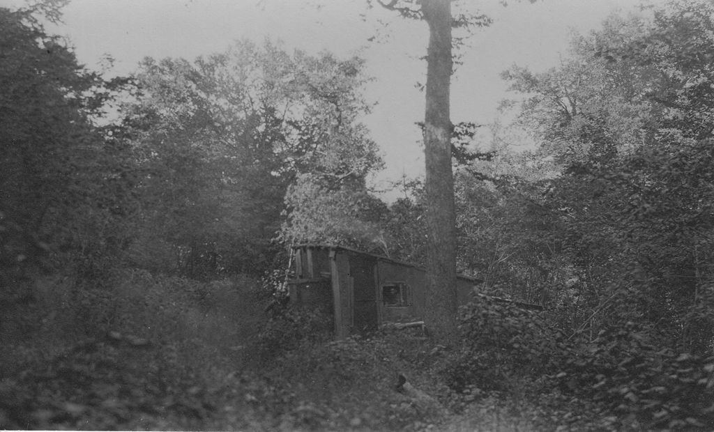 Miniature of Small overgrown camp