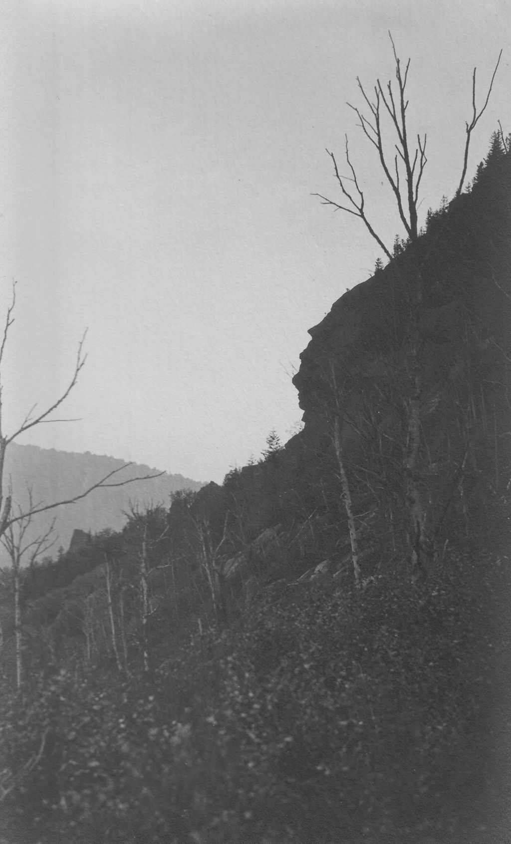 Miniature of Rock ledge and trees