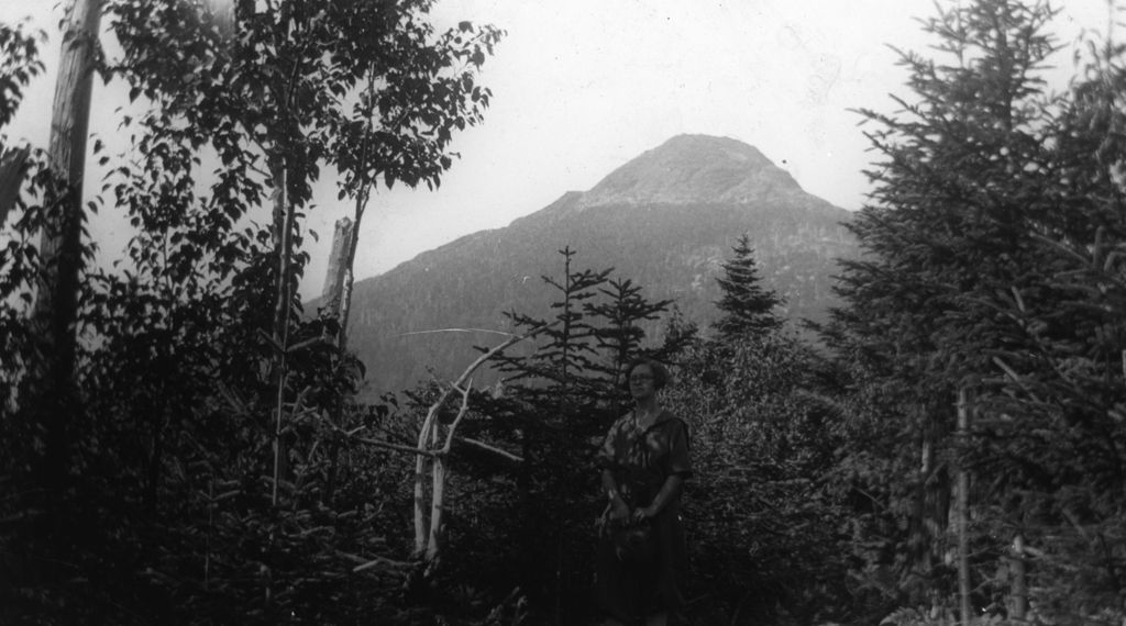 Miniature of Camel's Hump through the trees