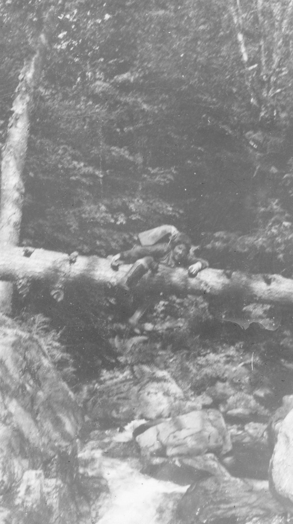 Miniature of Woman climbing over a downed tree