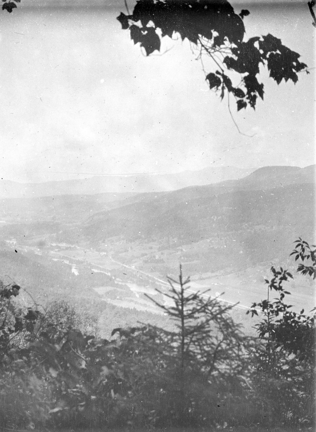 Miniature of Valley through the trees