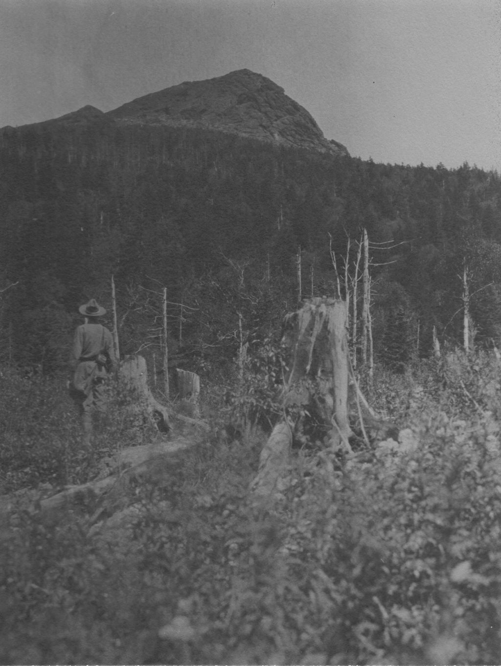 Miniature of Field and rock summit