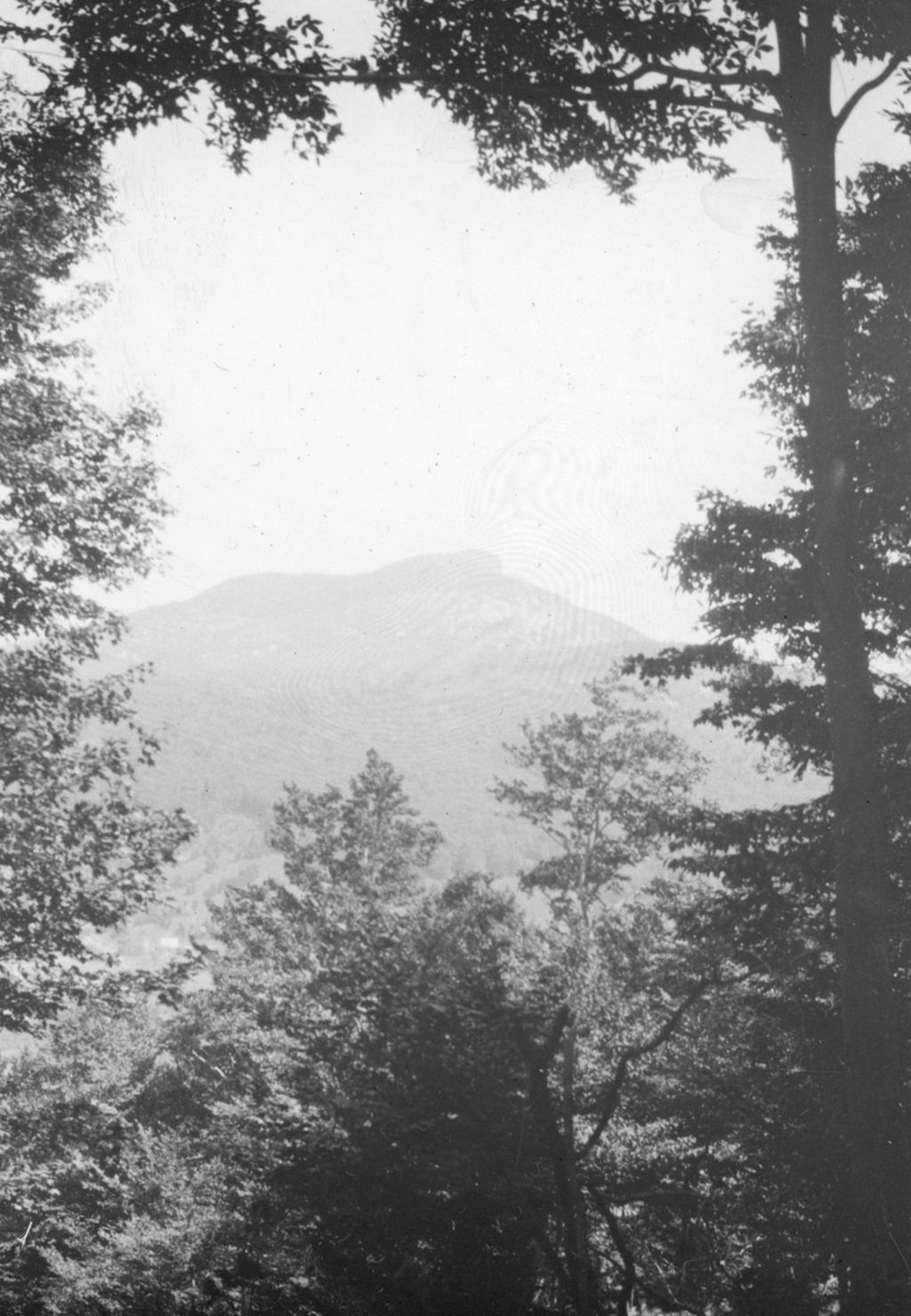 Miniature of Couching Lion (Camel's Hump)