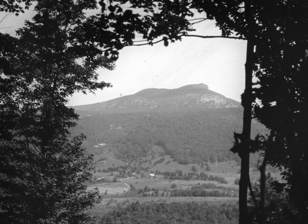 Miniature of Couching Lion (Camel's Hump)