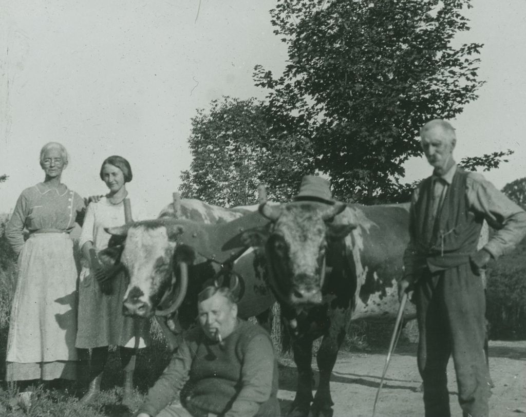 Miniature of Mrs. Davis, unknown, oxen, Mr. Herr, and Mr. Henry Davis