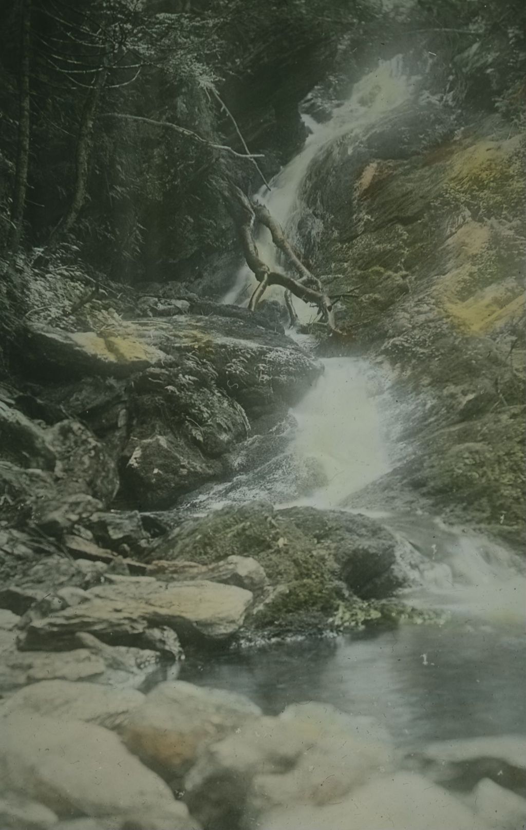 Miniature of Waterfalls near Emily Proctor Shelter