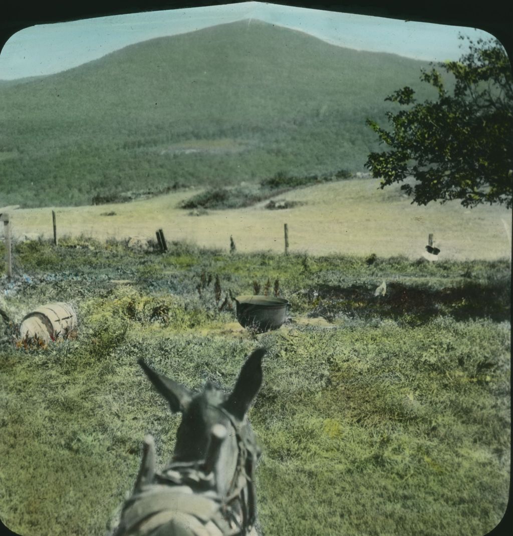 Miniature of Mule and Mount Abraham