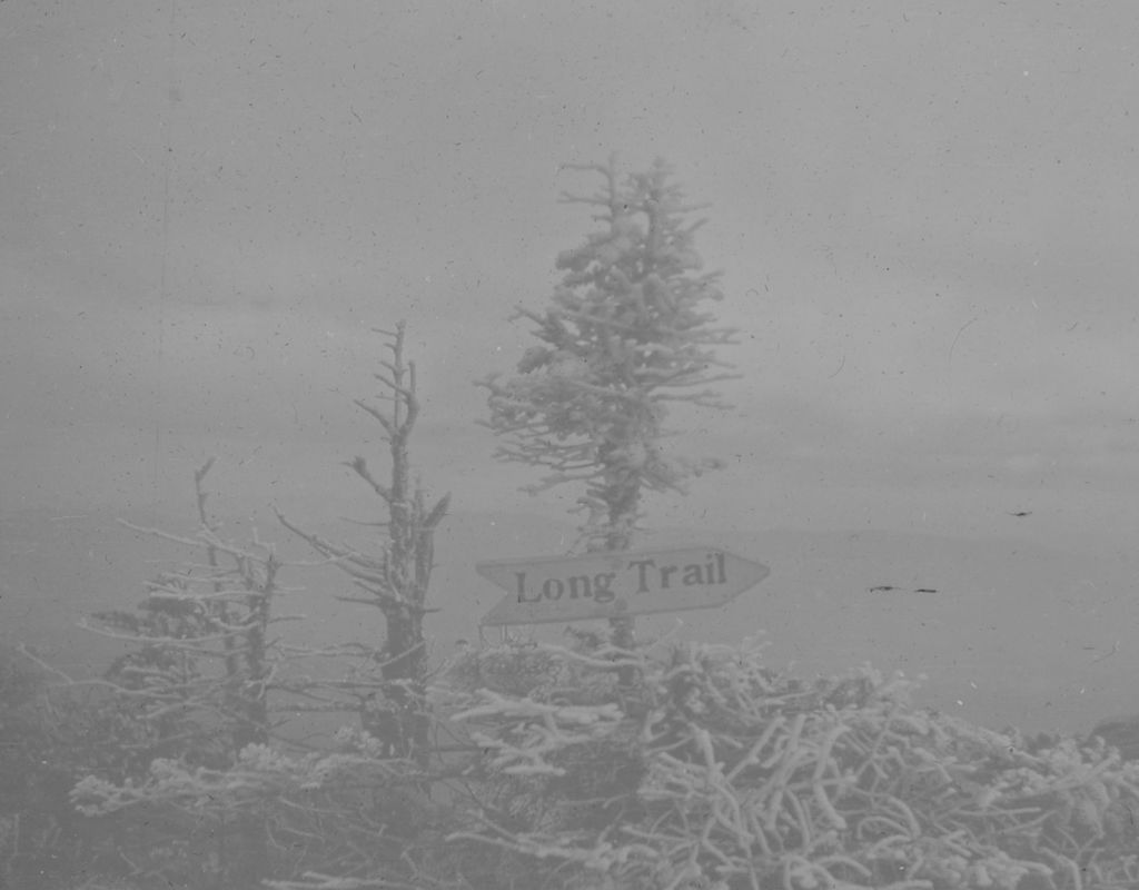 Miniature of Long Trail sign nailed to spruce on Mount Ellen