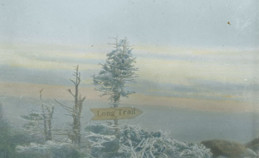 Miniature of Long trail sign nailed to snow-tipped spruce on Mount Ellen