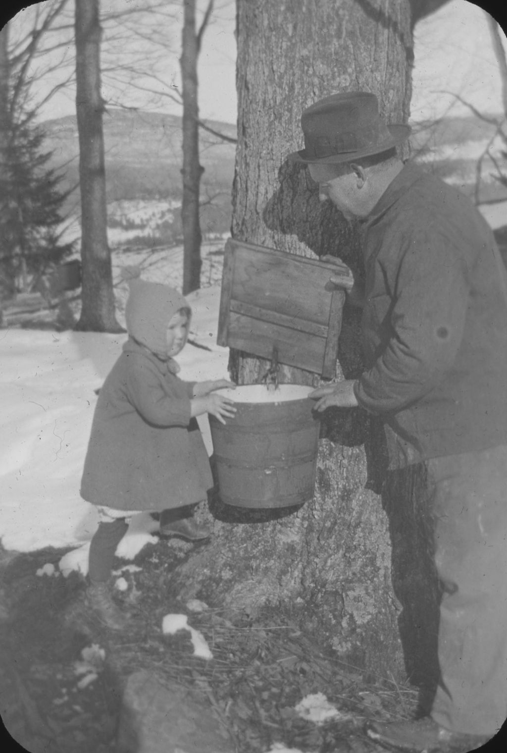 Miniature of Where does sap come from? Miss Florence Jones of Waitsfield and her Papa