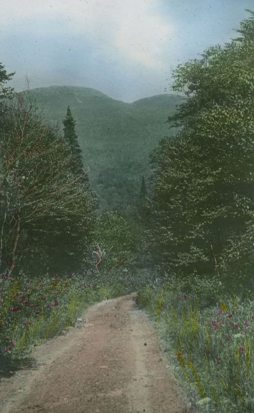 Miniature of Looking toward the chin of Mount Mansfield from the Barnes Camp at Smugglers' Notch