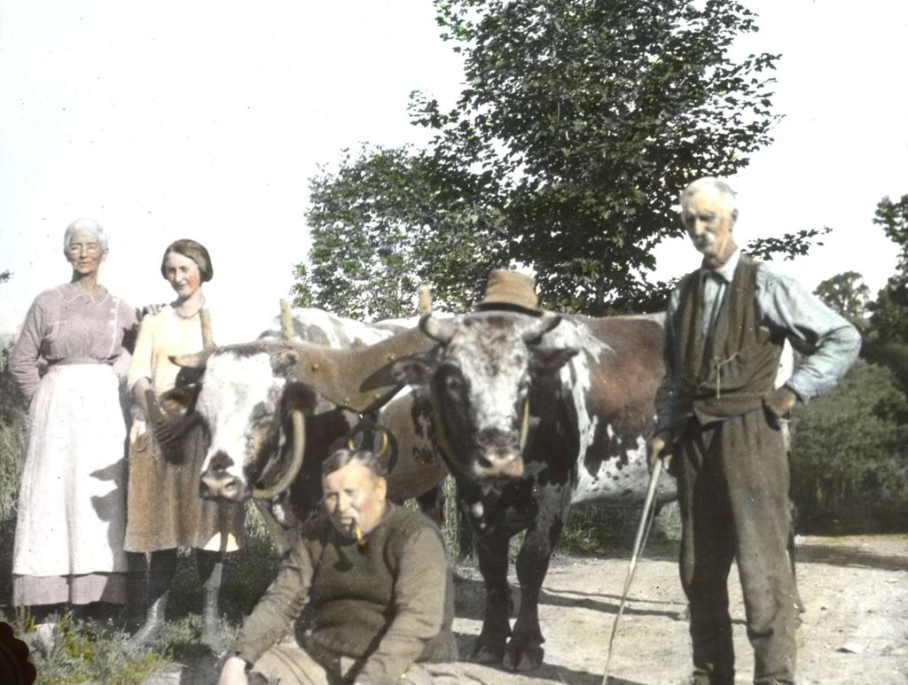 Miniature of Mrs. Davis, unknown, oxen, Mr. Herr, and Mr. Henry Davis