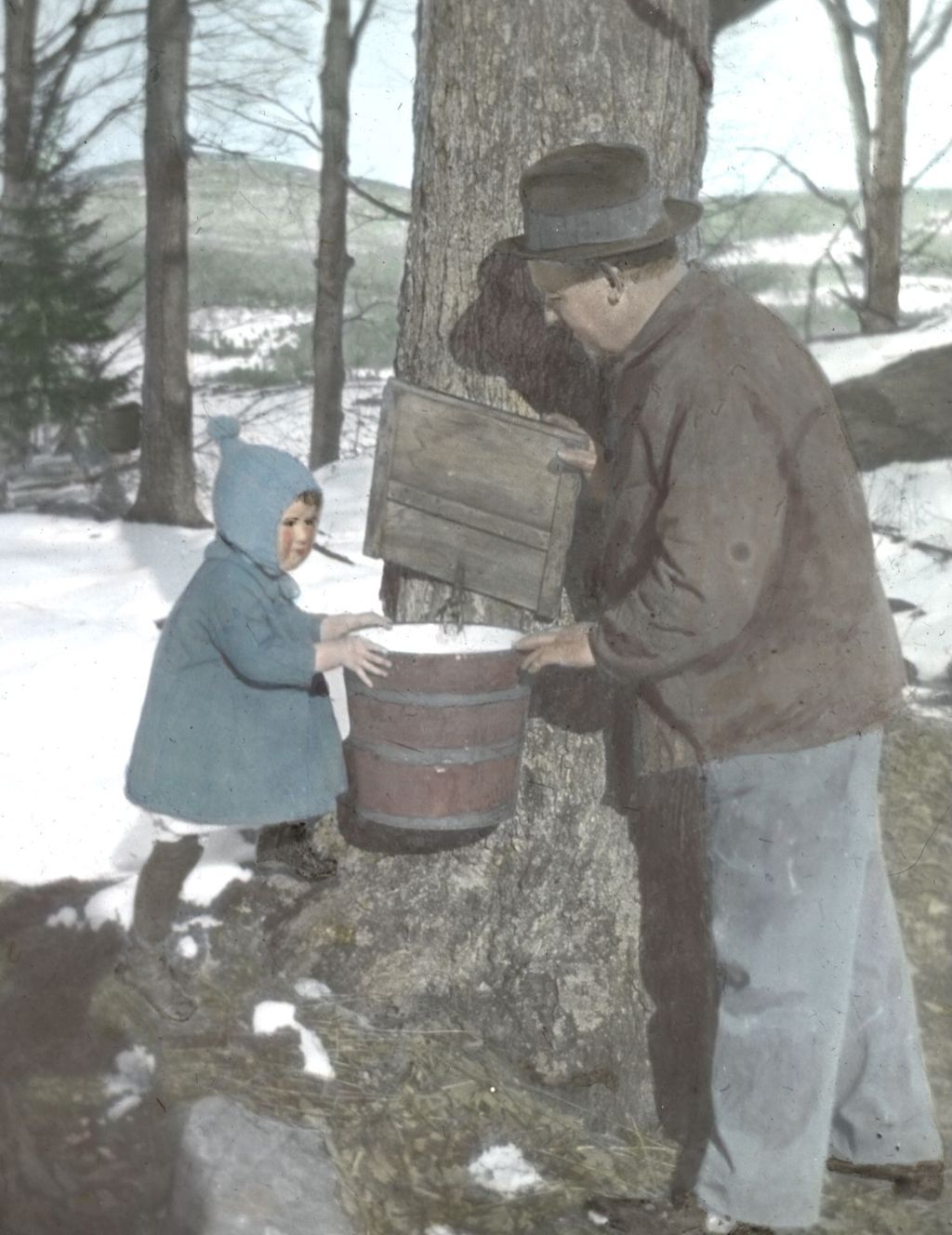 Miniature of Where does sap come from? Miss Florence Jones of Waitsfield and her Papa