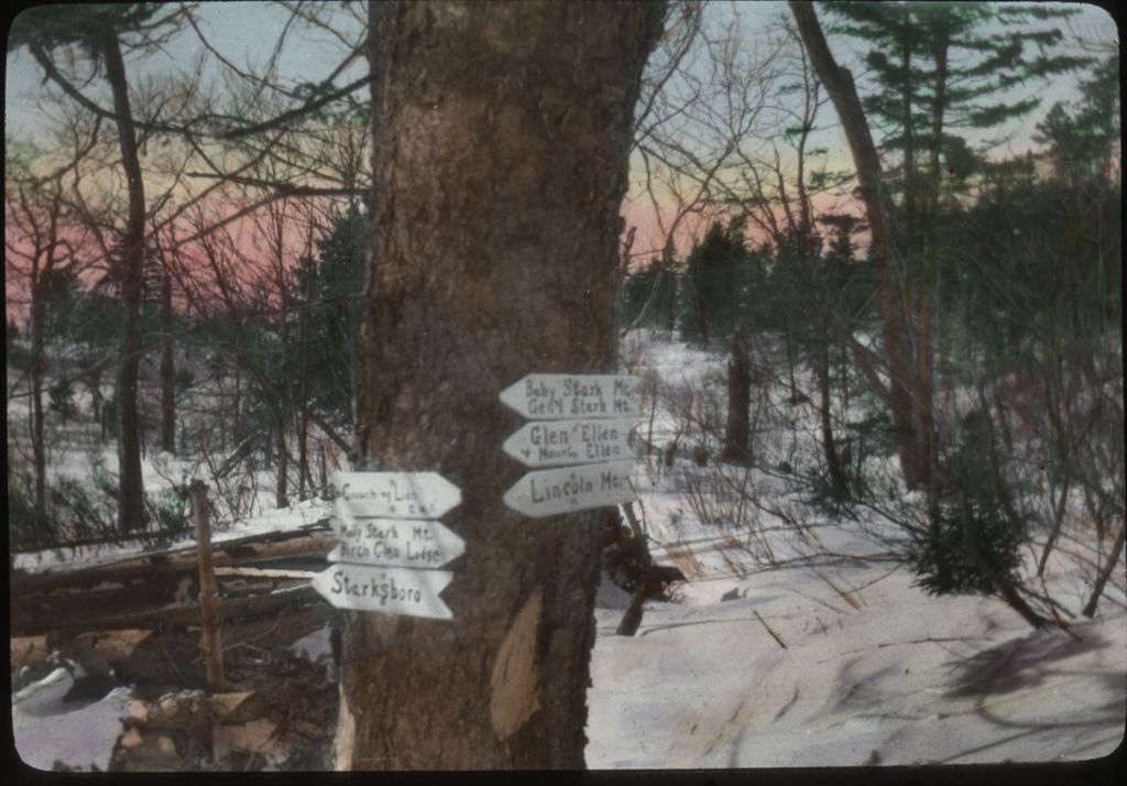 Miniature of Signs on a spruce at the ruins of Beaver Meadow Cabin