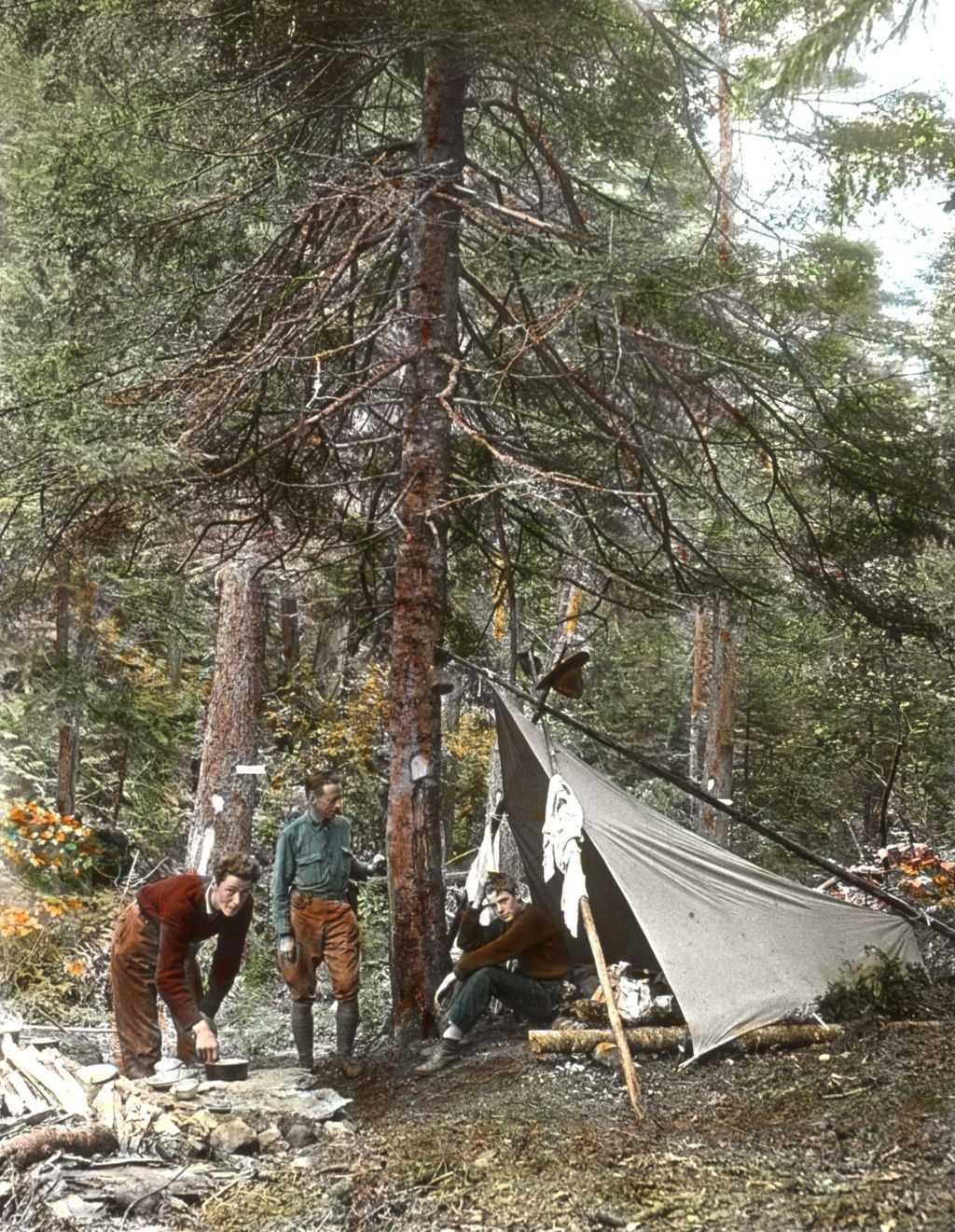 Miniature of Tent in Cooley Glen