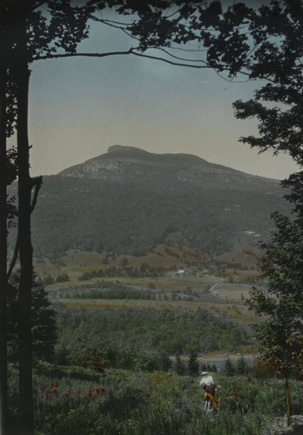 Miniature of Couching Lion (Camel's Hump) - woman in the foreground