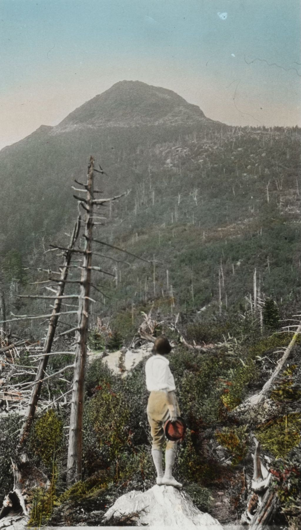 Miniature of Looking toward mountain summit