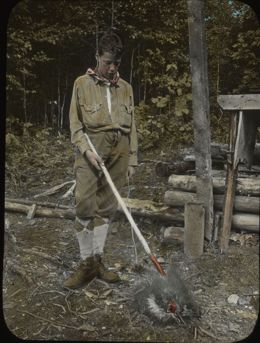 Miniature of Leverett Smith and porcupine at Dunsmoor Lodge