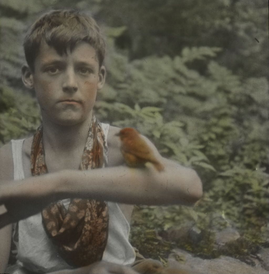 Miniature of Red Crossbill at Mount Ellen