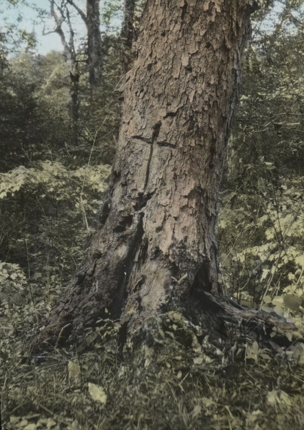 Miniature of Where Mrs. Blake died on the Arlington-Wardsboro Road