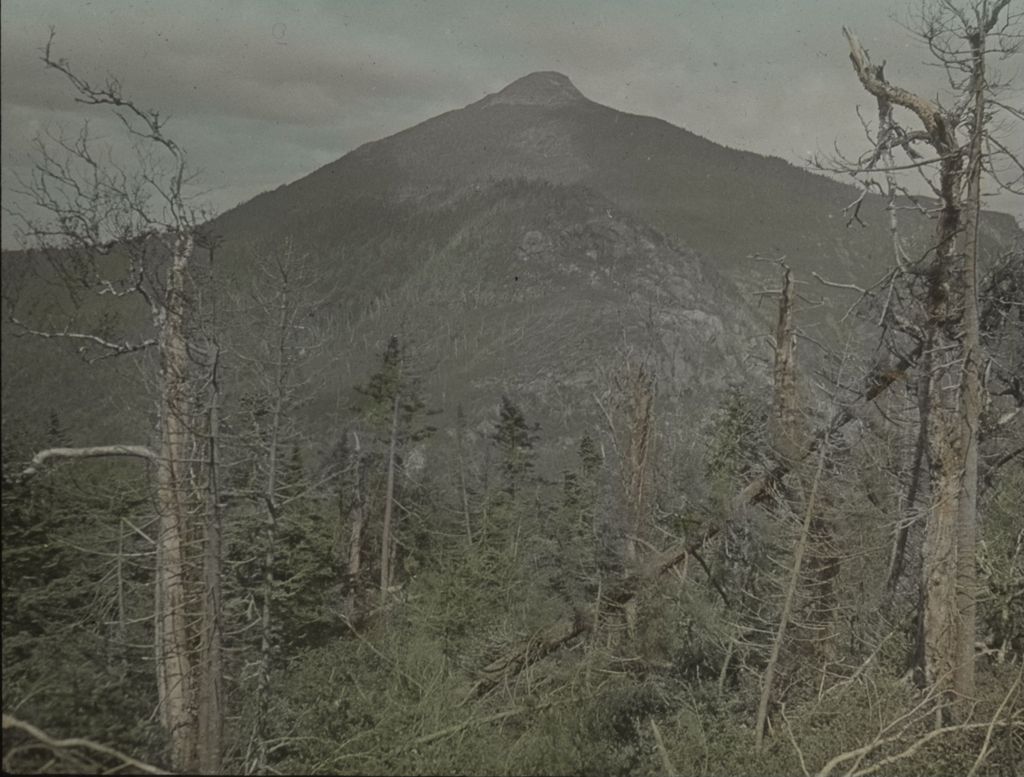 Miniature of Couching Lion (Camel's Hump) from near the top of Mount Ethan Allen