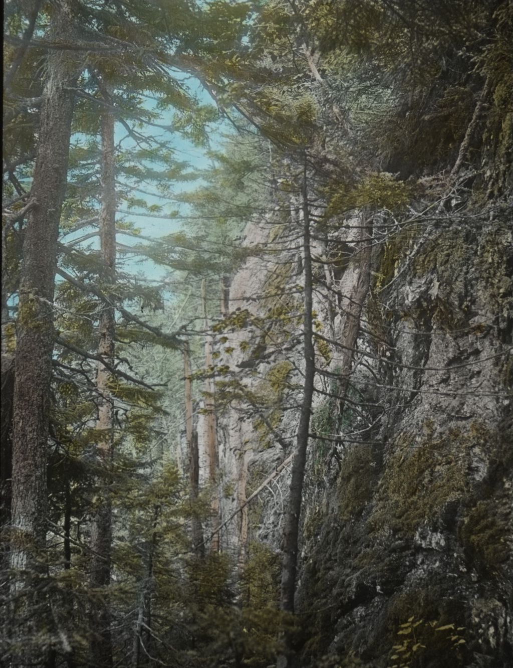 Miniature of Cliffs on Mount Mansfield's Forehead Trail - second terrace