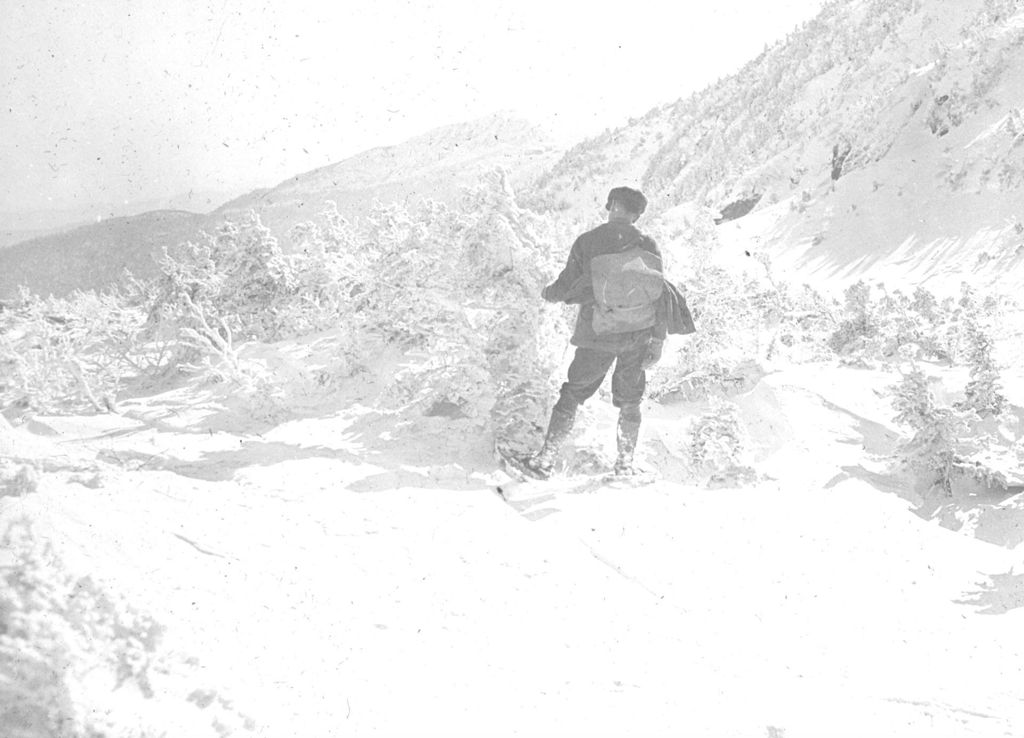 Miniature of Looking South from the chin of Mount Mansfield