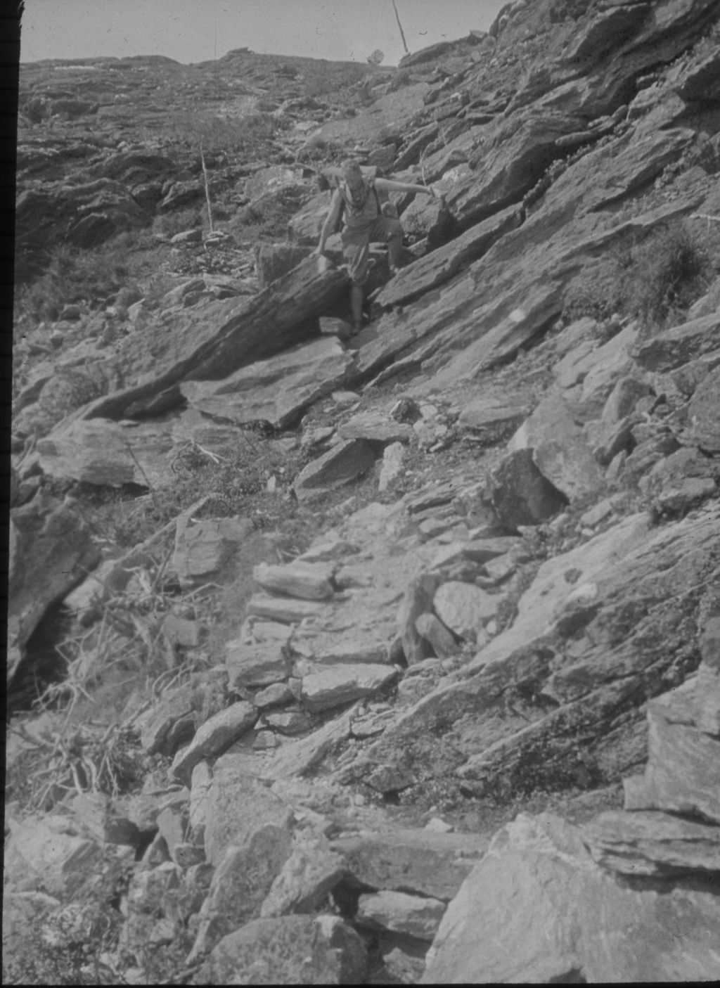 Miniature of Last stretch up the south side of Camel's Hump